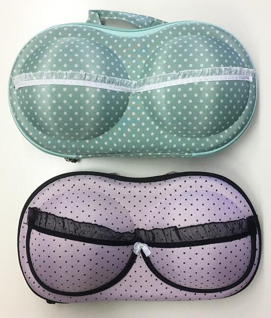 Bikini Carry Case